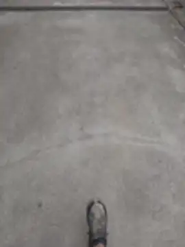 SnappedHagfish online show from June 17, 2026, 5:25 pm