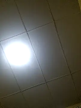 thebruvisacoolsoul online show from December 20, 2025, 1:56 am