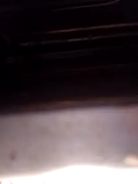 punecouplegroup online show from December 18, 2025, 5:46 am