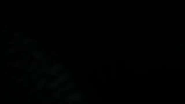 Dante Bellini online show from June 3, 2026, 2:55 pm