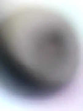 Snapshot of novio-de-la-tarde chatting on April 28, 2026, 12:20 am novio-de-la-tarde online show from April 28, 2026, 12:20 am