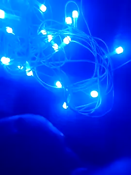 bongtools online show from December 20, 2025, 6:26 pm