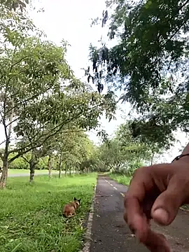 Maicol xxxx online show from March 12, 2026, 2:01 pm