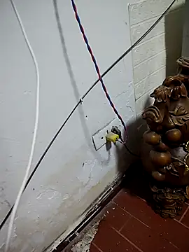 thobaby99 online show from January 9, 2026, 7:55 am