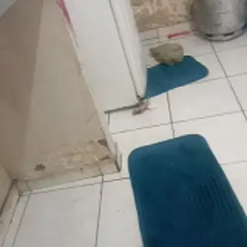 xxbucetudaxxx online show from December 20, 2025, 11:17 am