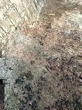 Snapshot of Tamilpaiyan07 chatting on March 8, 2026, 2:04 am Tamilpaiyan07 online show from March 8, 2026, 2:04 am