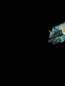 Hot2602 online show from February 22, 2026, 7:01 pm