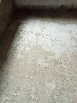 dakota-kis online show from February 4, 2026, 11:53 pm