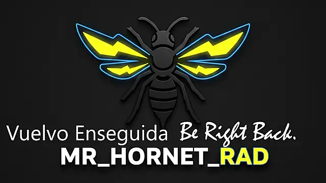 s hornet online show from May 4, 2026, 1:18 pm