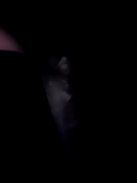 SweetTastes online show from February 21, 2026, 12:39 pm