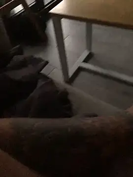 psilocibina22 online show from February 20, 2026, 9:21 am