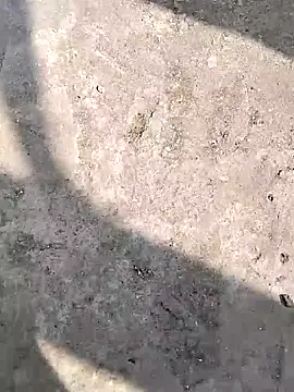 harsh07869 online show from February 5, 2026, 8:30 am