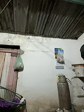 calientmex online show from February 13, 2026, 5:58 am