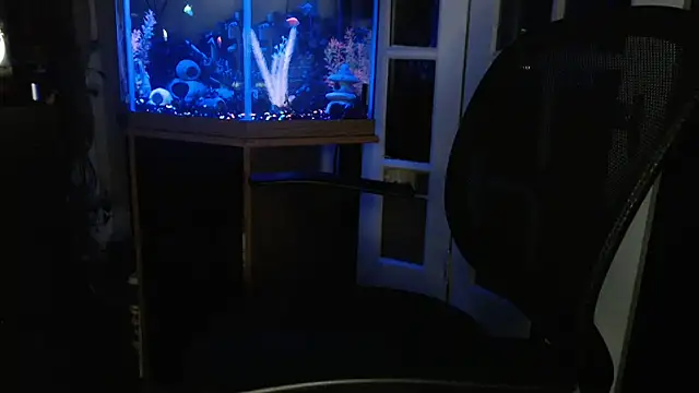 EspanolVato online show from June 10, 2026, 10:36 am