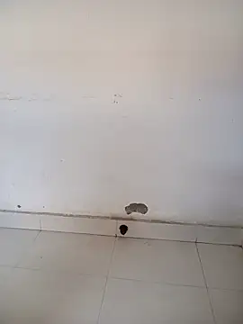 Sarita-school online show from February 6, 2026, 4:50 am