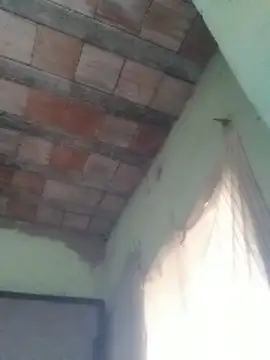 ferreirasantos123 online show from February 6, 2026, 11:35 am