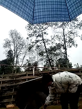 alycen online show from February 3, 2026, 1:37 am