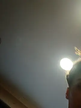 dear2002 online show from January 17, 2026, 6:18 am