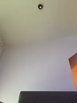 Snapshot of Dominic2295 chatting on January 17, 2026, 9:47 am Dominic2295 online show from January 17, 2026, 9:47 am