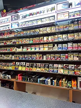 Snapshot of Dominic2295 chatting on February 3, 2026, 4:54 am Dominic2295 online show from February 3, 2026, 4:54 am