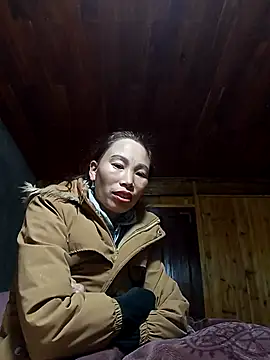 Nllpvp online show from January 7, 2026, 2:36 am