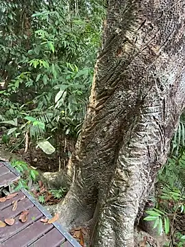 HOTLibertine online show from February 9, 2026, 8:29 am