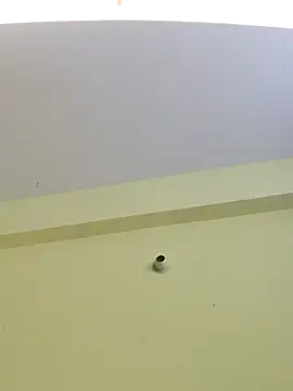 Snapshot of trinasa chatting on April 8, 2026, 7:47 pm trinasa online show from April 8, 2026, 7:47 pm