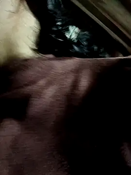 Snapshot of yu--yo chatting on March 21, 2026, 3:44 am yu--yo online show from March 21, 2026, 3:44 am