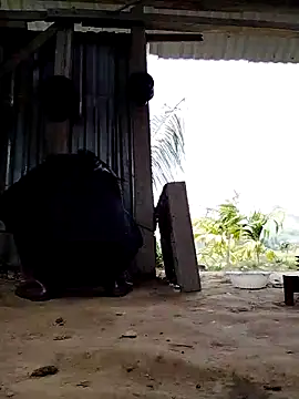 Ginny 2x online show from March 16, 2026, 4:07 am