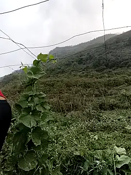 Mimi sweet1 online show from March 21, 2026, 1:54 am