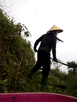 cdyyds-69 online show from March 24, 2026, 1:21 am