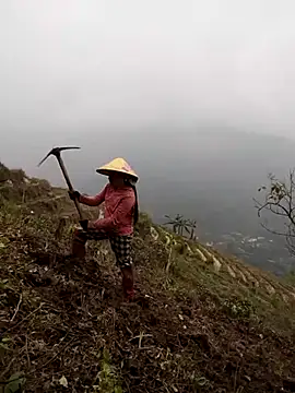 cdyyds-69 online show from March 26, 2026, 2:50 am