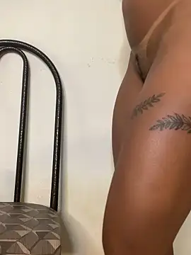 gatadaacademia online show from February 13, 2026, 3:30 pm