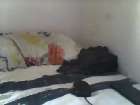 Snapshot of handsomeguy02 chatting on April 14, 2026, 2:45 pm handsomeguy02 online show from April 14, 2026, 2:45 pm