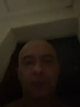 dogfrota online show from February 28, 2026, 6:47 am