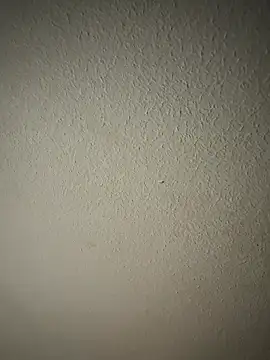 Snapshot of zumma00 chatting on January 17, 2026, 11:37 am zumma00 online show from January 17, 2026, 11:37 am