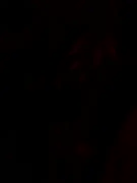 tropicalpied online show from January 16, 2026, 4:38 am