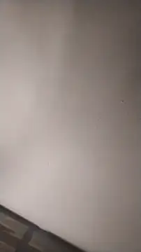 sterng6969 online show from March 16, 2026, 5:24 am