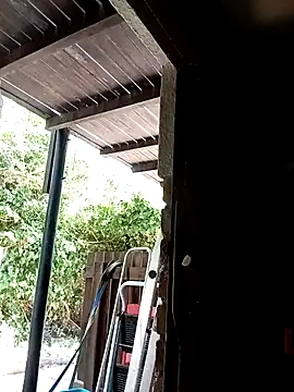 Snapshot of dicklife3485 chatting on February 3, 2026, 8:30 am dicklife3485 online show from February 3, 2026, 8:30 am