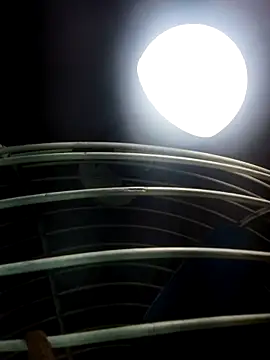 cutee Baby angel online show from February 20, 2026, 8:20 pm