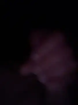 canadian0808 online show from February 4, 2026, 8:09 am