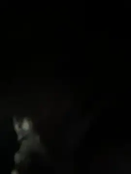 viraj malhotra online show from February 4, 2026, 8:42 am