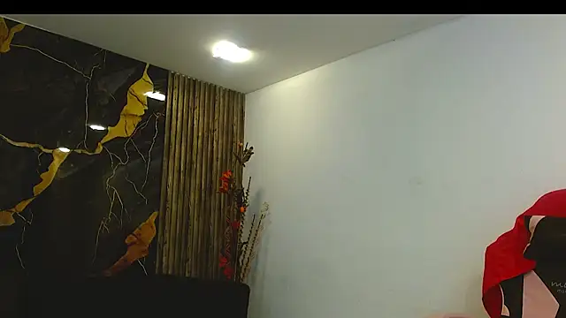 Snapshot of jasper16092020 chatting on February 6, 2026, 2:09 pm jasper16092020 online show from February 6, 2026, 2:09 pm