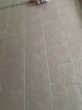 joy1334 online show from February 9, 2026, 11:03 am