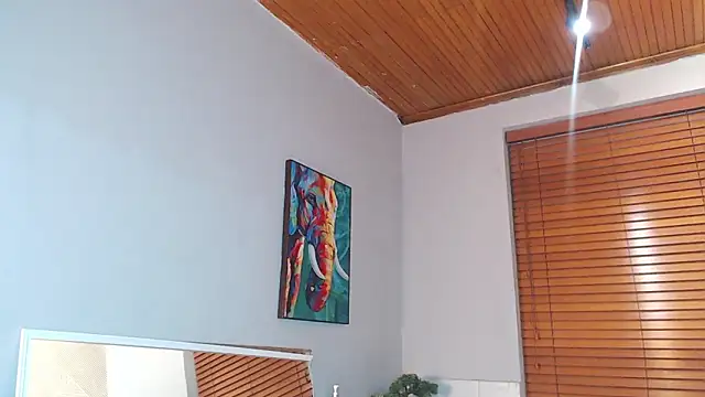 Teo dantex online show from February 3, 2026, 2:53 am