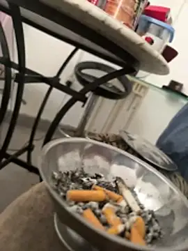 DieMitransarinos online show from March 31, 2026, 5:57 pm