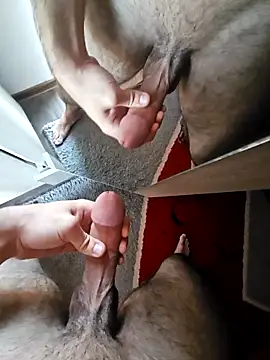 Shady88 online show from February 5, 2026, 10:53 am