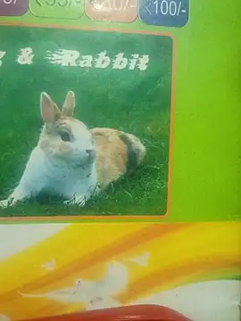 Lovable dude online show from March 12, 2026, 5:19 pm