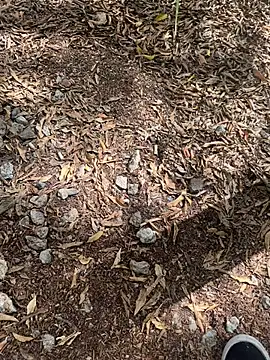 tyd247 online show from February 22, 2026, 11:36 pm