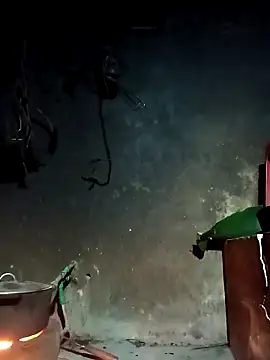 Hoa-tuylip online show from March 4, 2026, 10:16 pm